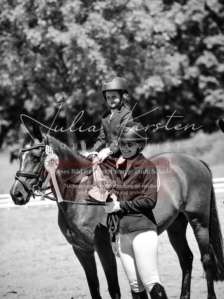 DSC_2114 | Pferde- und Turnierfotografie in Westsachsen. Pferdeportraits, Auftragszeichnungen und intuitive Kunst.