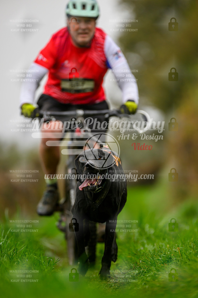 MompixPhotography_20TSB_E8_Bike-172 | PayLife