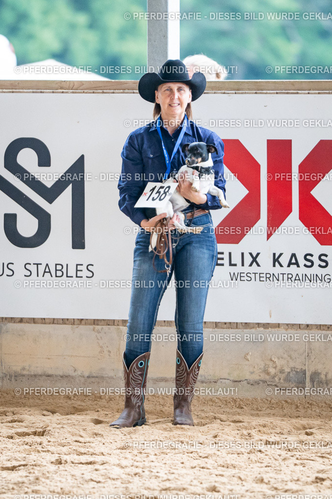 DSC09244 | Pferdegrafie