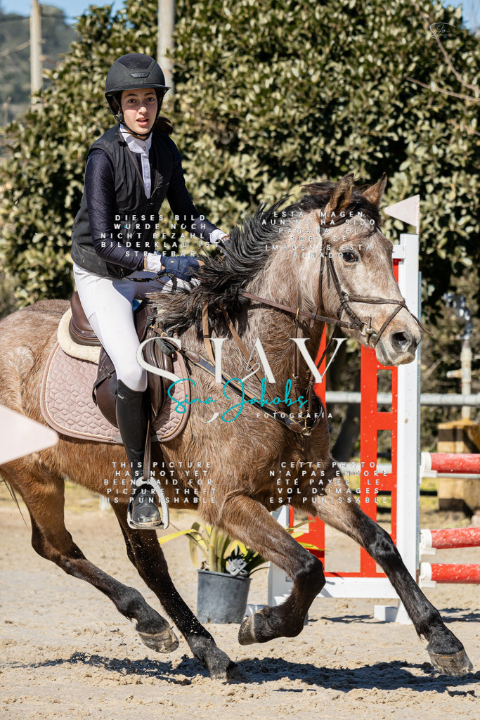 IMG_9466 | s-jay-photography - Realisiert mit Pictrs.com