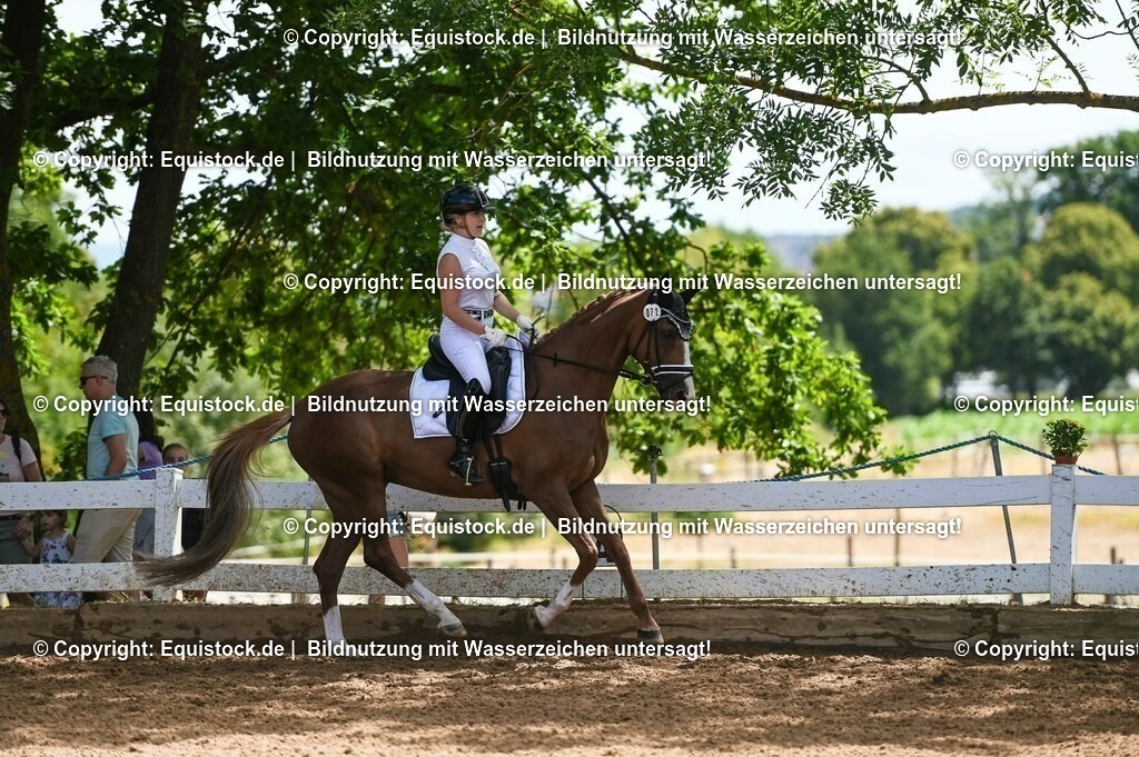 20230716_03_Dressurprfg. Kl.L - Tr._0505 | equistock