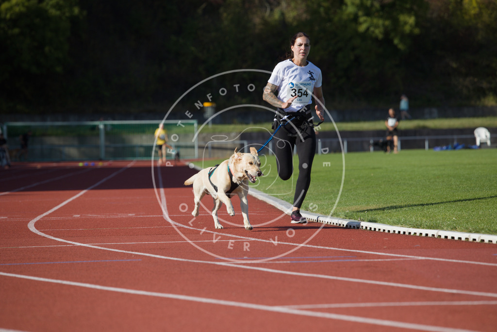 0L8A0044 | Hundefotografie, Tierfotograf, Pfotenfotografie, Fotoshooting Hund, Hunde Portrait, Hundesport, Hundeportraits, Heideshooting, Hunde, Sportfotograf, Hundefotograf, Turnierhundsport, THS,  - Realisiert mit Pictrs.com