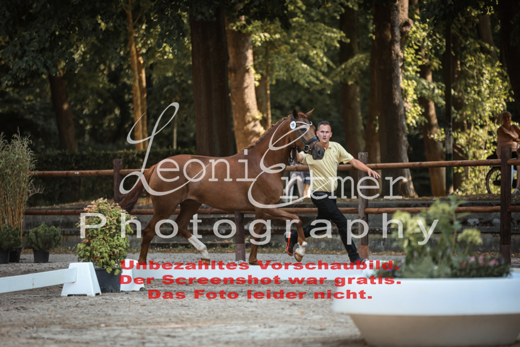 DoER00023 | Leoni Ertmer Photography - Realisiert mit Pictrs.com