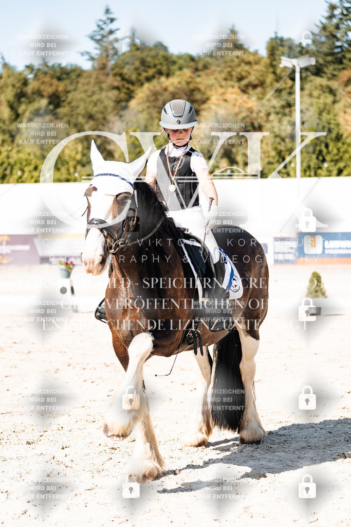 CK902932 | Turnierfotografie Pferdefotografie Trier Rheinland-Pfalz Pferdesport Reitsport Tierfotografie Sportfotografie Pferdevideo Pferdevideografie Equestrianvideography equestrianphotography  - Realisiert mit Pictrs.com