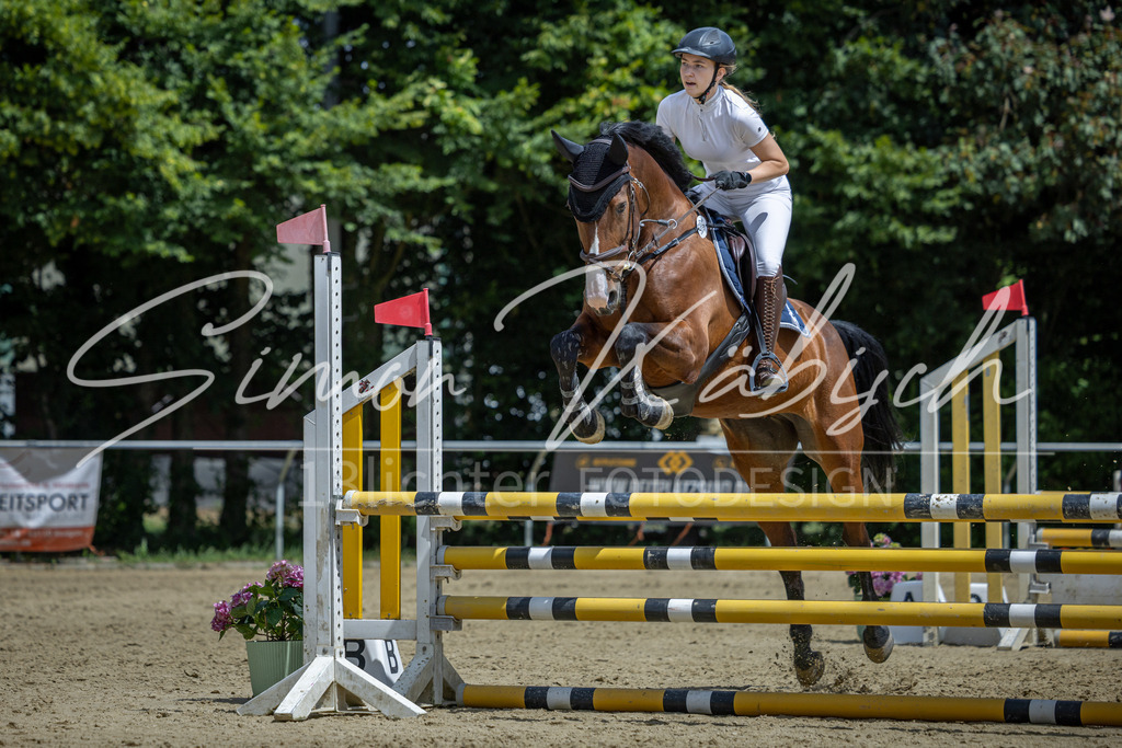 20260704-_3LI9845 | Tierfotografie Pferde, Hunde, Katzen, Haustiere.
Turnierfotografie Reitturniere, Reiten, Springreiten, Dressur in Hanau, dem Main-Kinzig-Kreis und dem Rhein-Main- Gebiet um Frankfurt