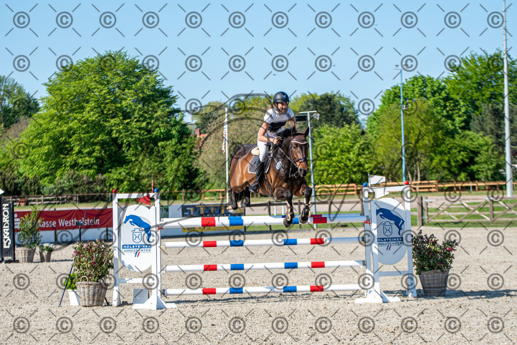 KPT_1902 | andre_photographic