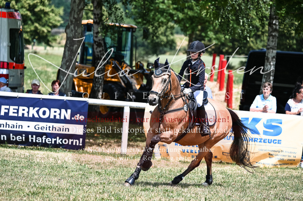 DSC_9711 | Pferde- und Turnierfotografie in Westsachsen. Pferdeportraits, Auftragszeichnungen und intuitive Kunst.