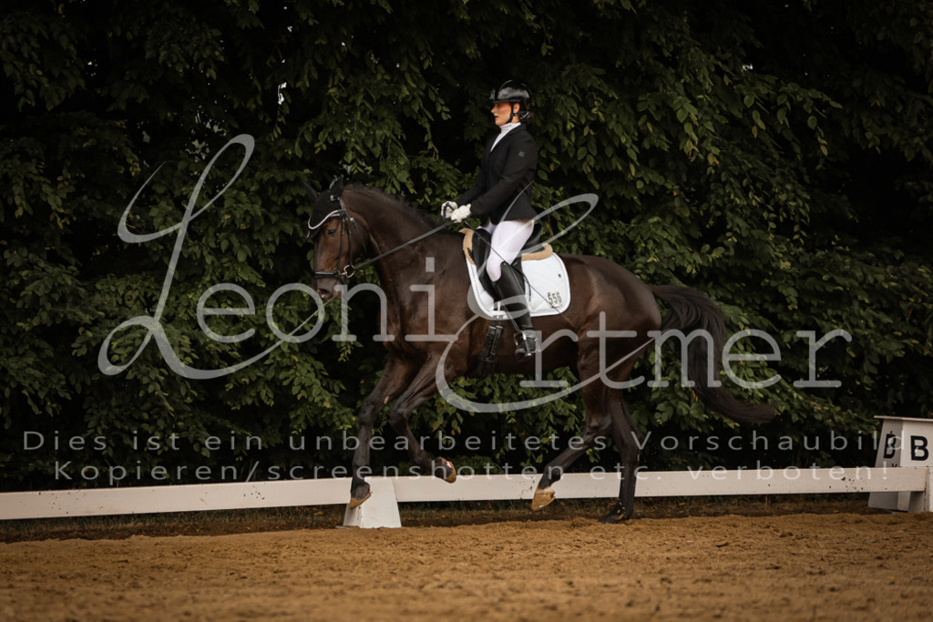 DoDrA00270 | Leoni Ertmer Photography - Realisiert mit Pictrs.com