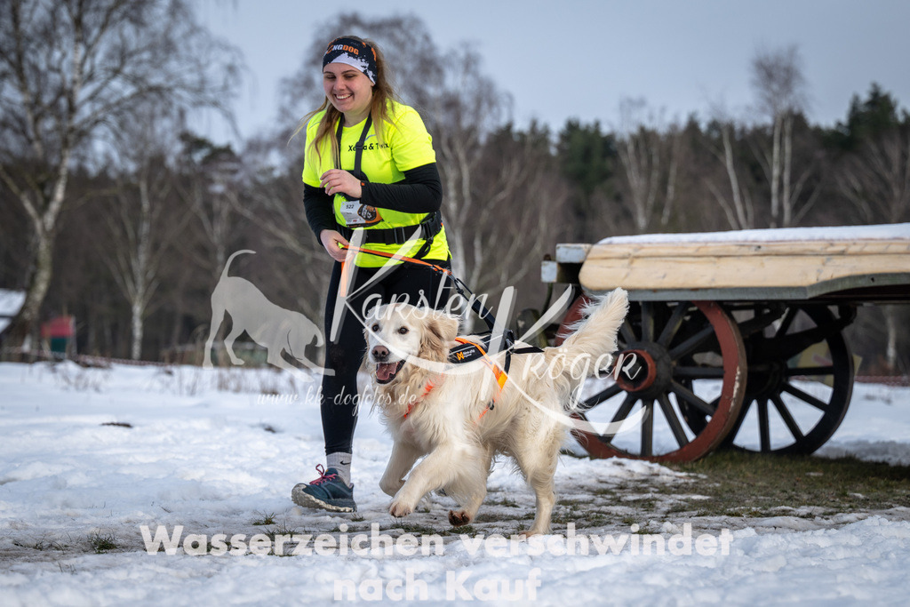 0811_ZZ90799-5 | kk-dogfotos