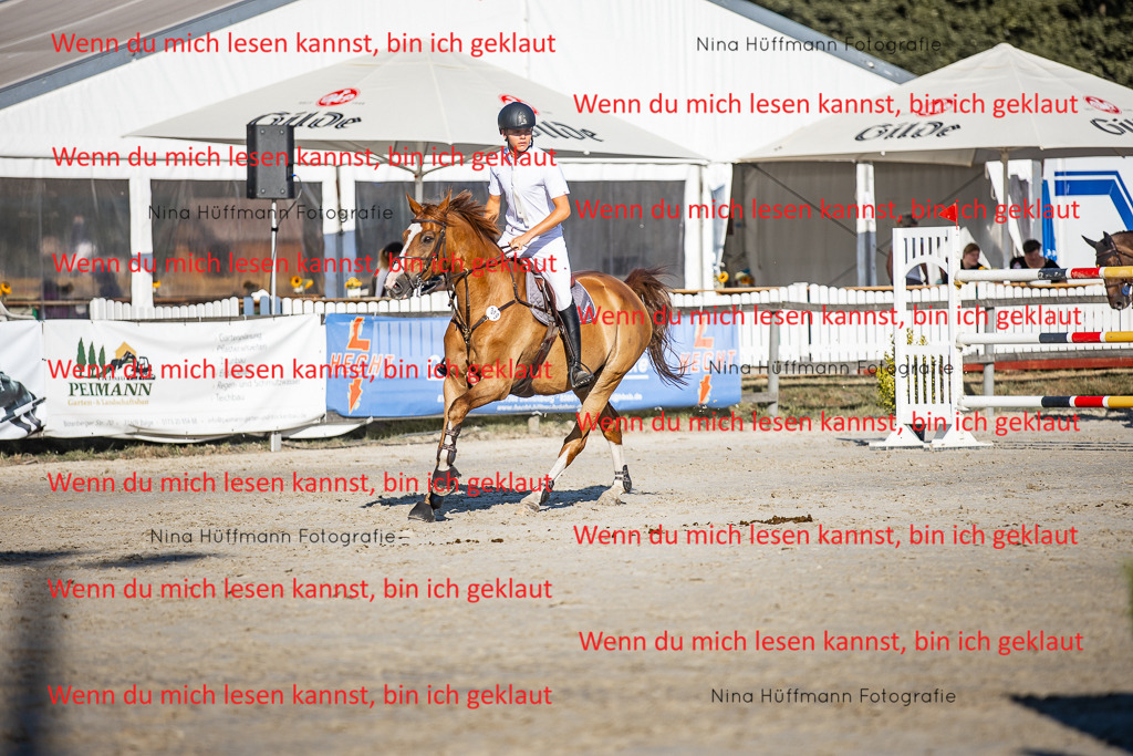 BK1A8701 | Turnierbilder Turnierfotos Nina Hüffmann Turnierfotografie Pferdefotografie Tierzeichnung Haustierzeichnung Pferdezeichnung Hundezeichnung Videograf  - Realisiert mit Pictrs.com