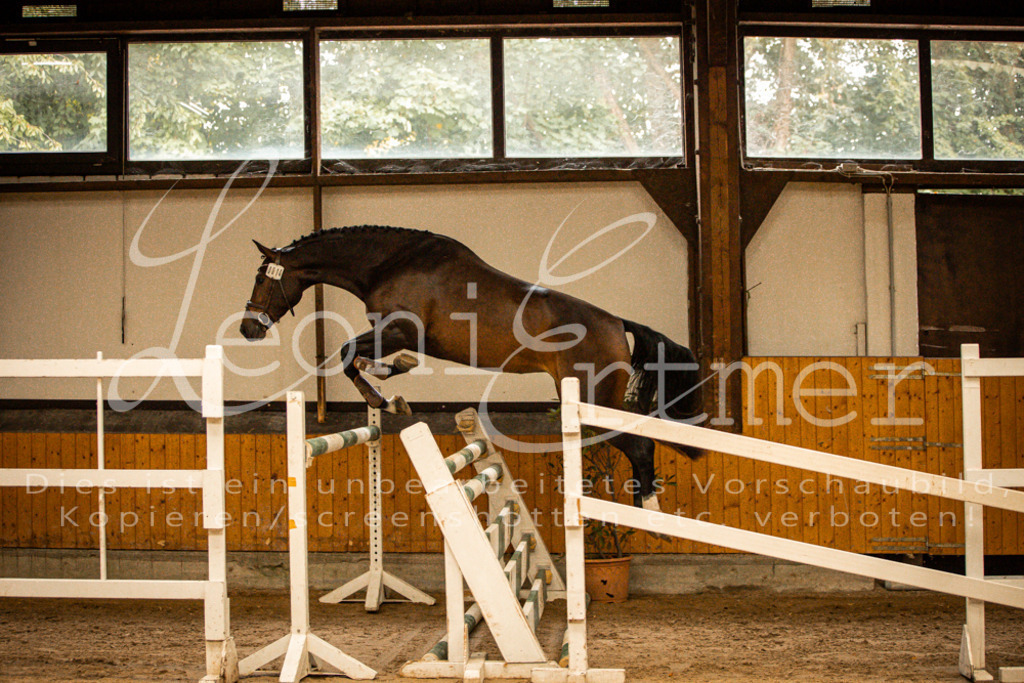 2FS_L00016 | Leoni Ertmer Photography - Realisiert mit Pictrs.com