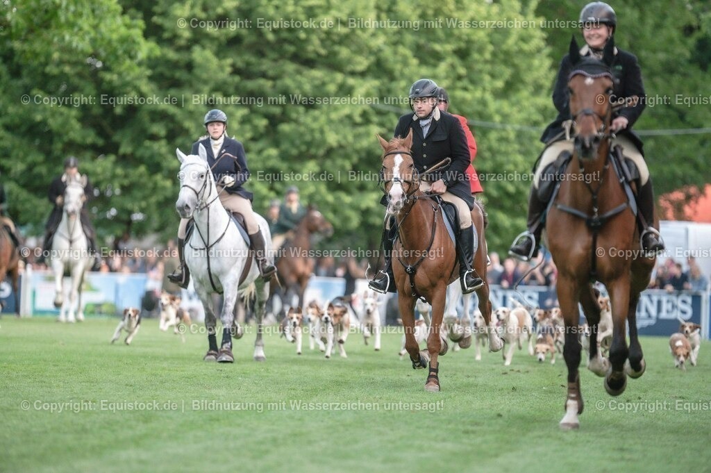 20230526_Pferdenacht_0524 | equistock