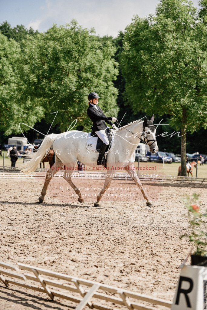 DSC_0363 | Pferde- und Turnierfotografie in Westsachsen. Pferdeportraits, Auftragszeichnungen und intuitive Kunst.