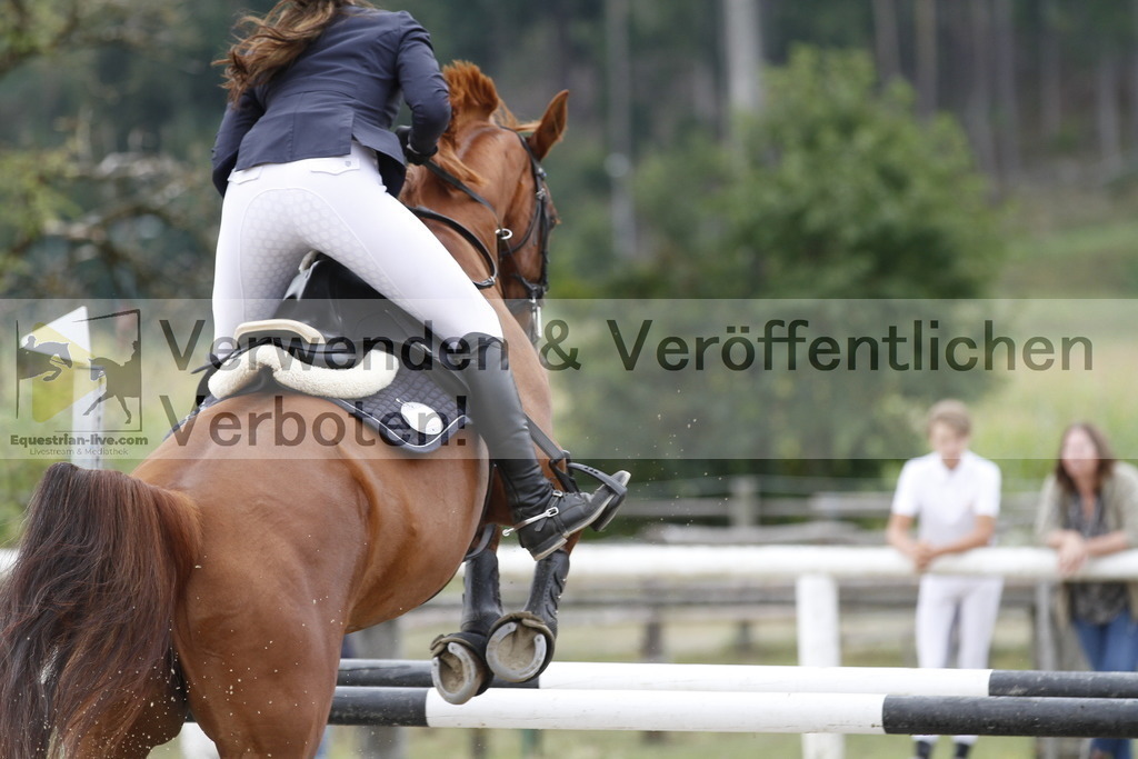 _MG_8884 | equestrian-live-com