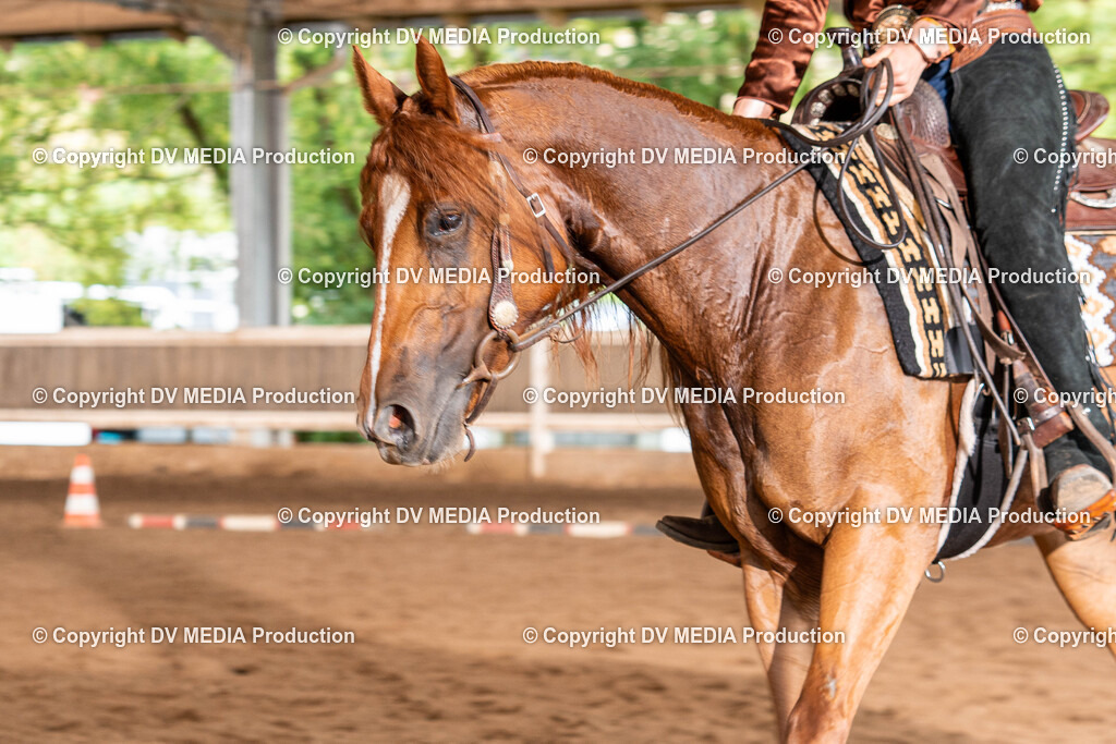 Erbach Tag 1-377 | dv-media-shop - Realisiert mit Pictrs.com