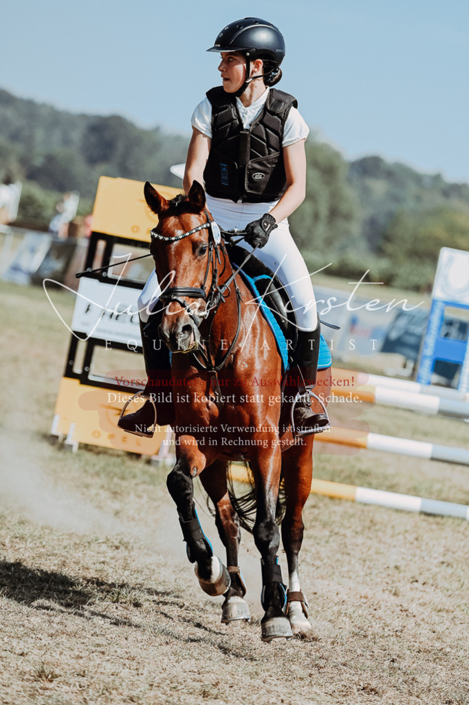 DSC_9970 | Pferde- und Turnierfotografie in Westsachsen. Pferdeportraits, Auftragszeichnungen und intuitive Kunst.