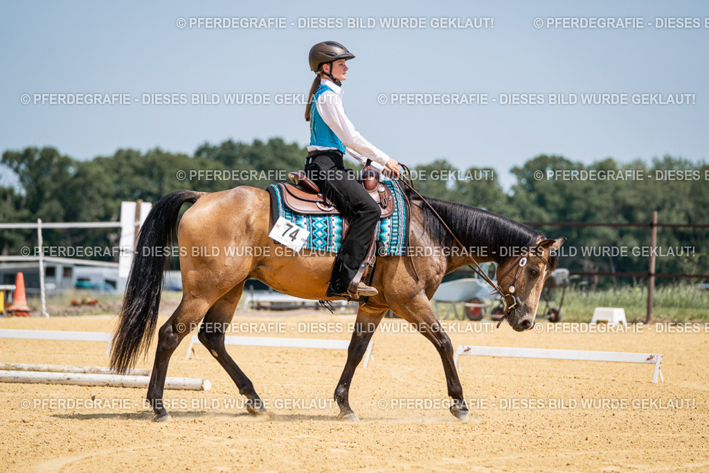 DSC00942 | Pferdegrafie