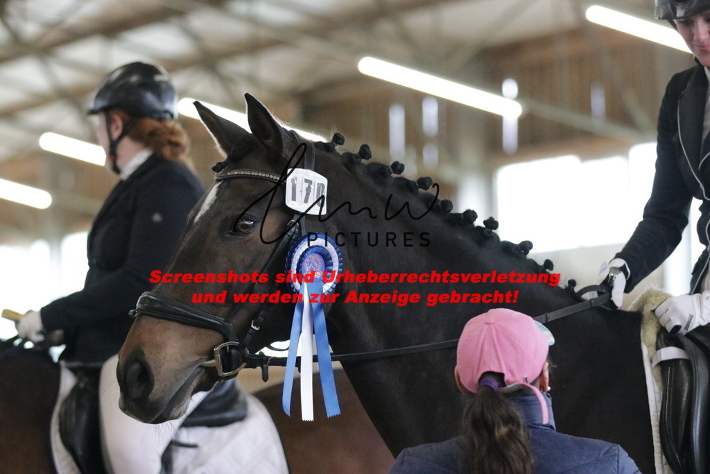 IMG_2128 | lmwpictures - Realisiert mit Pictrs.com