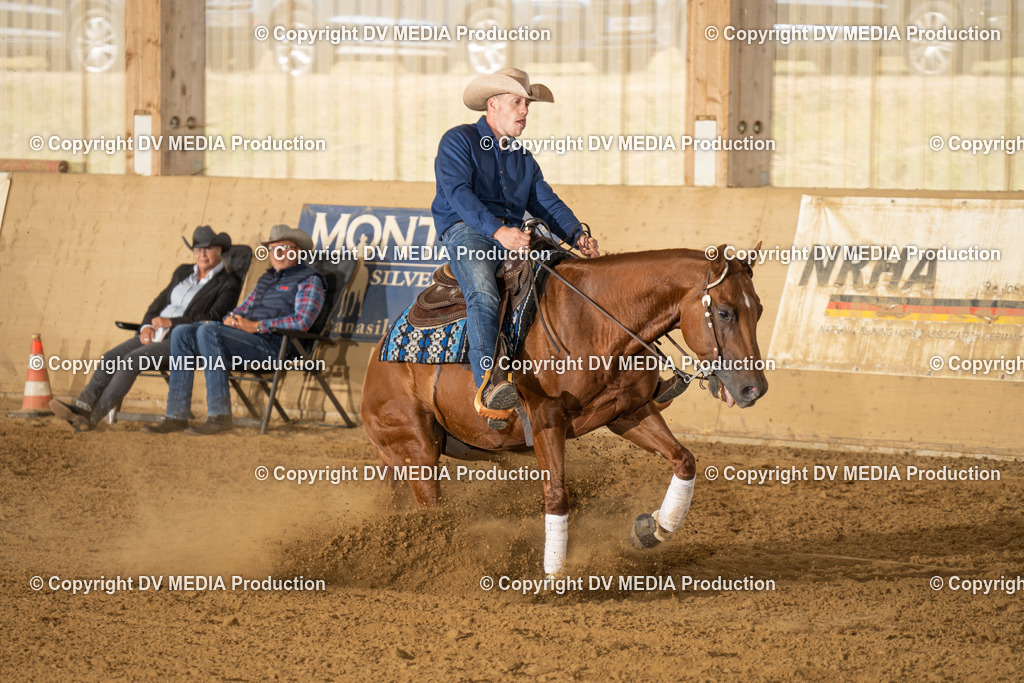 LAU01601 | dv-media-shop - Realisiert mit Pictrs.com