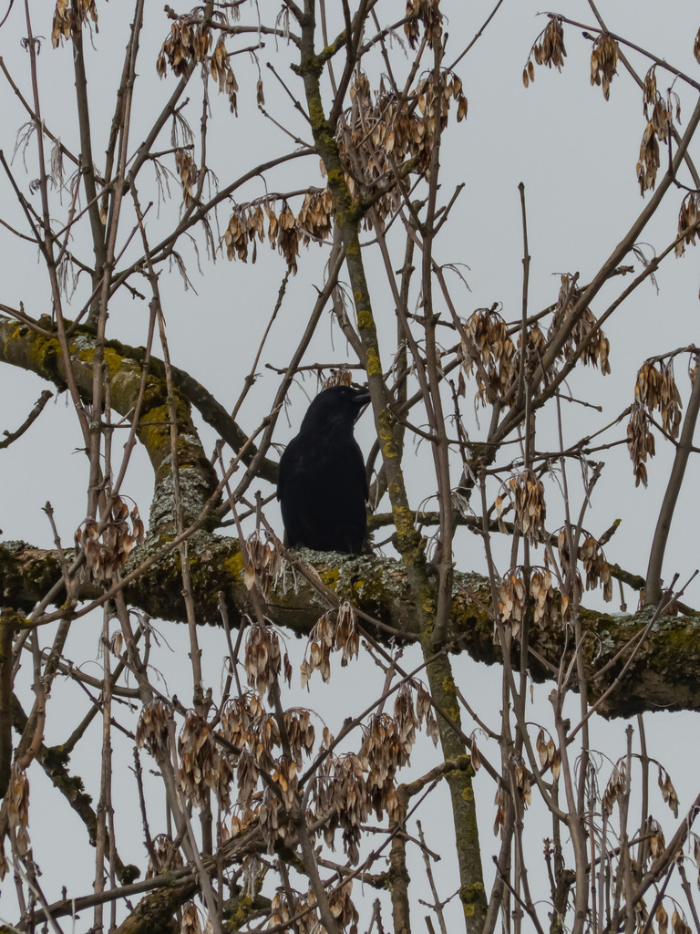 PSX_20230303_233935 | mtkfoto_ - Realisiert mit Pictrs.com