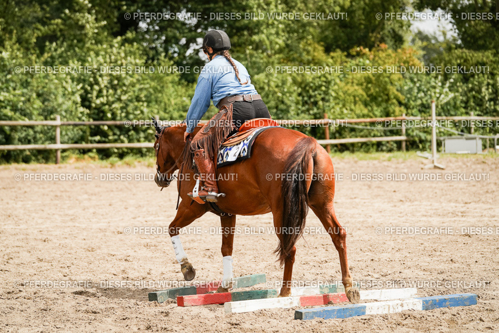 DSC00055 | Pferdegrafie