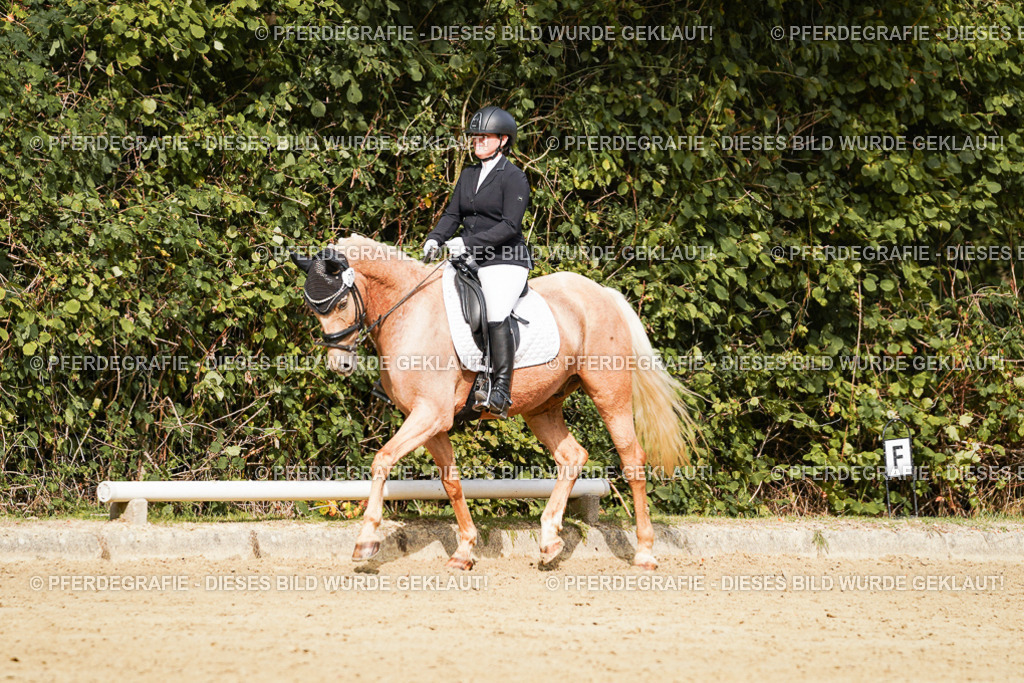 DSC03031 | Pferdegrafie