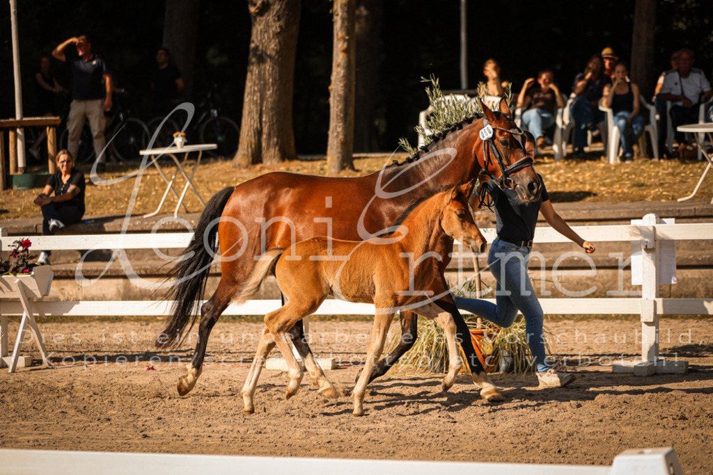 11.DoRP00165 | Leoni Ertmer Photography - Realisiert mit Pictrs.com
