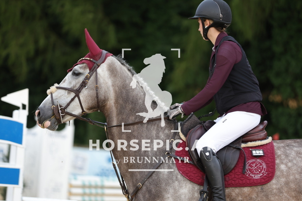0P6A2546 | Willkommen bei Brunnmayr - Design & Fotografie – Ihrem Spezialisten für Reitturniere und Pferdeveranstaltungen in Oberösterreich, Salzburg und Bayern! Seit über 17 Jahren sind wir leidenschaftlich dabei.
