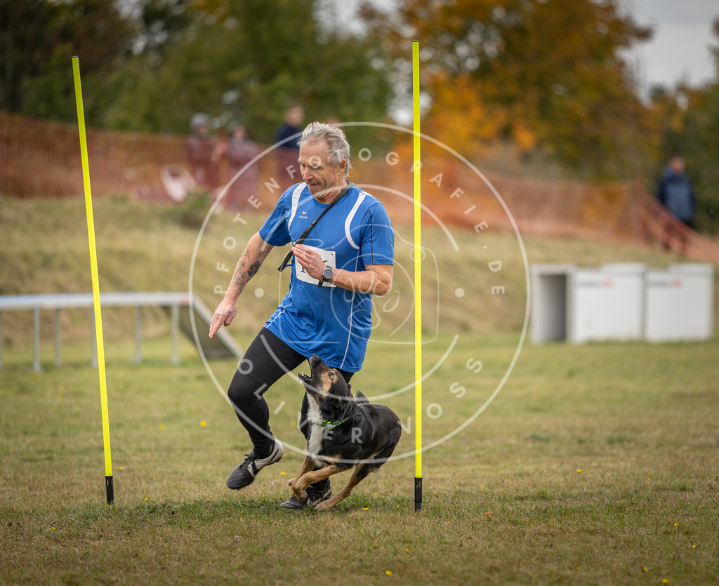 Pfotenfotografie_DV3A6531 | Hundefotografie, Tierfotograf, Pfotenfotografie, Fotoshooting Hund, Hunde Portrait, Hundesport, Hundeportraits, Heideshooting, Hunde, Sportfotograf, Hundefotograf, Turnierhundsport, THS,  - Realisiert mit Pictrs.com