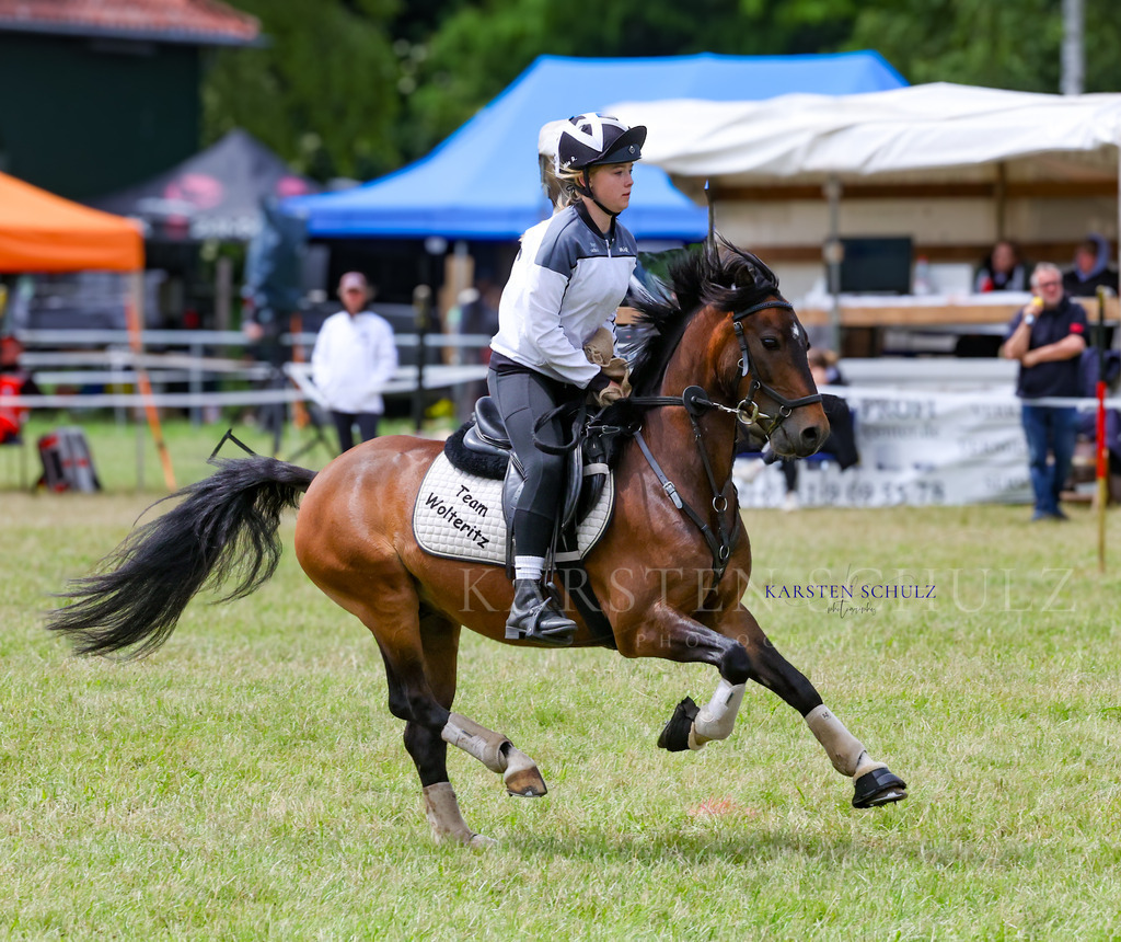 1B3A1753 | Reitsport Reiten