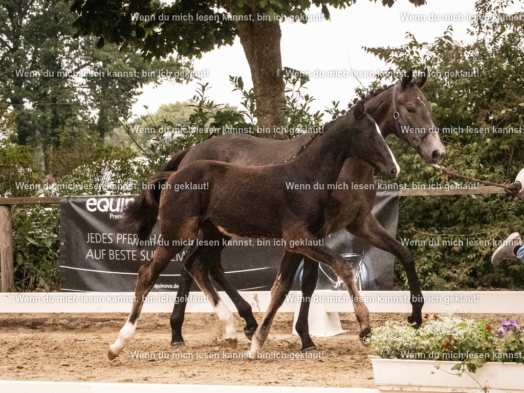 A10I1684 | photographylinaismer - Realisiert mit Pictrs.com