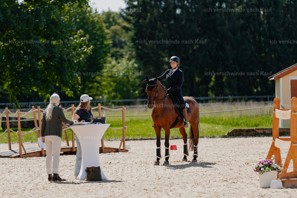 Nadine22_FHC2025-80 | working equitationturnier fotograf videograf stoibphotography marixx film working equitation deutschland reitsport turnierfotografie eventfotografie equestrian events