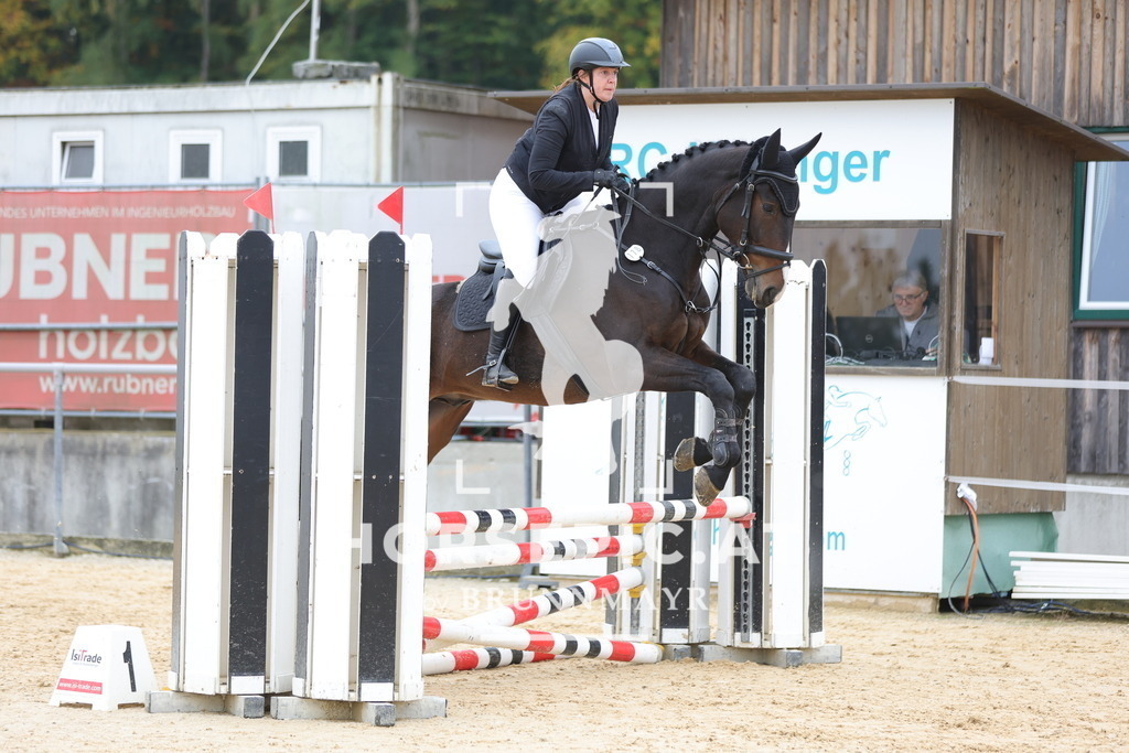 0P6A2151 | Willkommen bei Brunnmayr - Design & Fotografie – Ihrem Spezialisten für Reitturniere und Pferdeveranstaltungen in Oberösterreich, Salzburg und Bayern! Seit über 17 Jahren sind wir leidenschaftlich dabei.