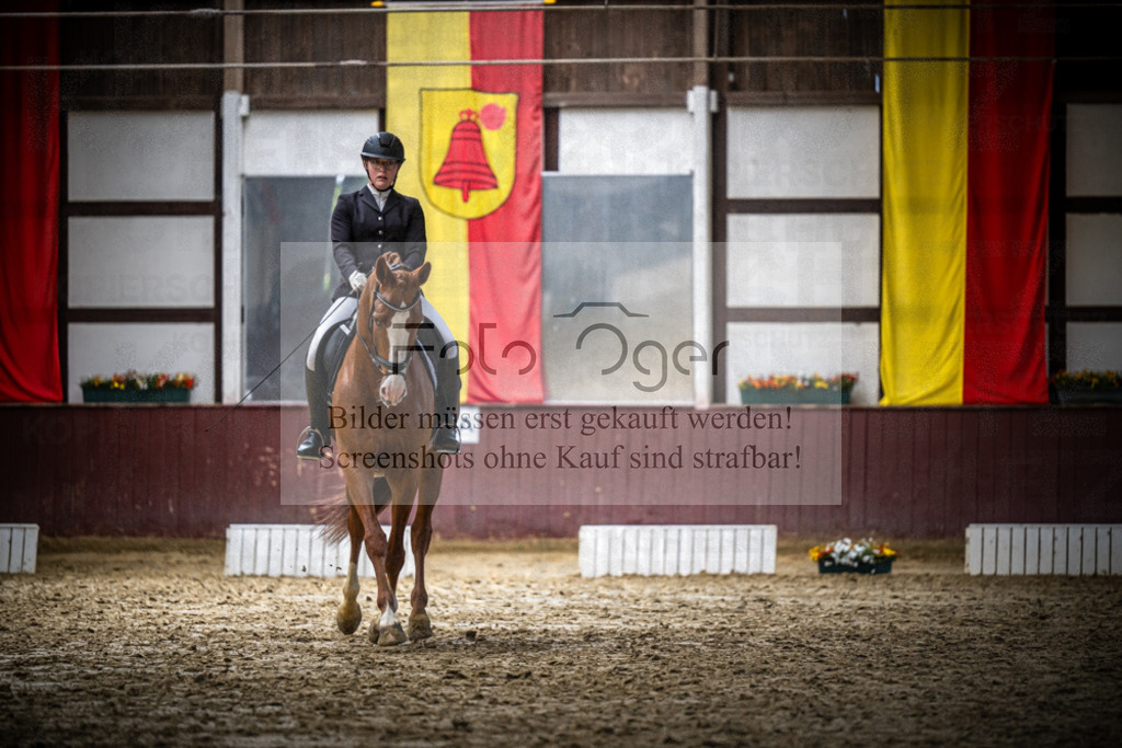 DOS_3178 | Reitturnier Lüdinghausen - Realisiert mit Pictrs.com
