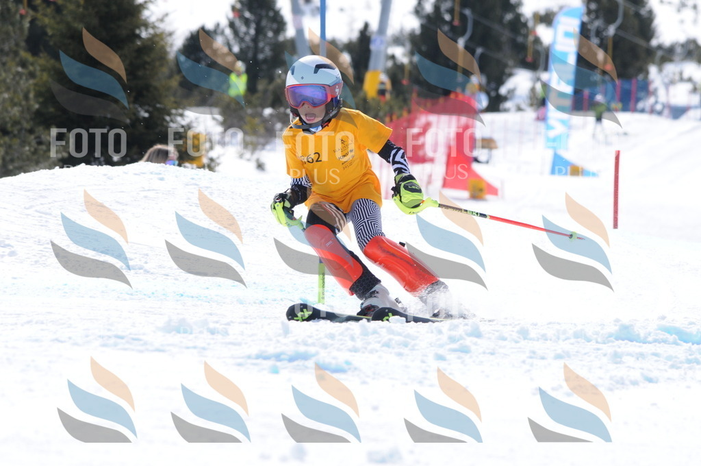 C9420 | holidayphoto