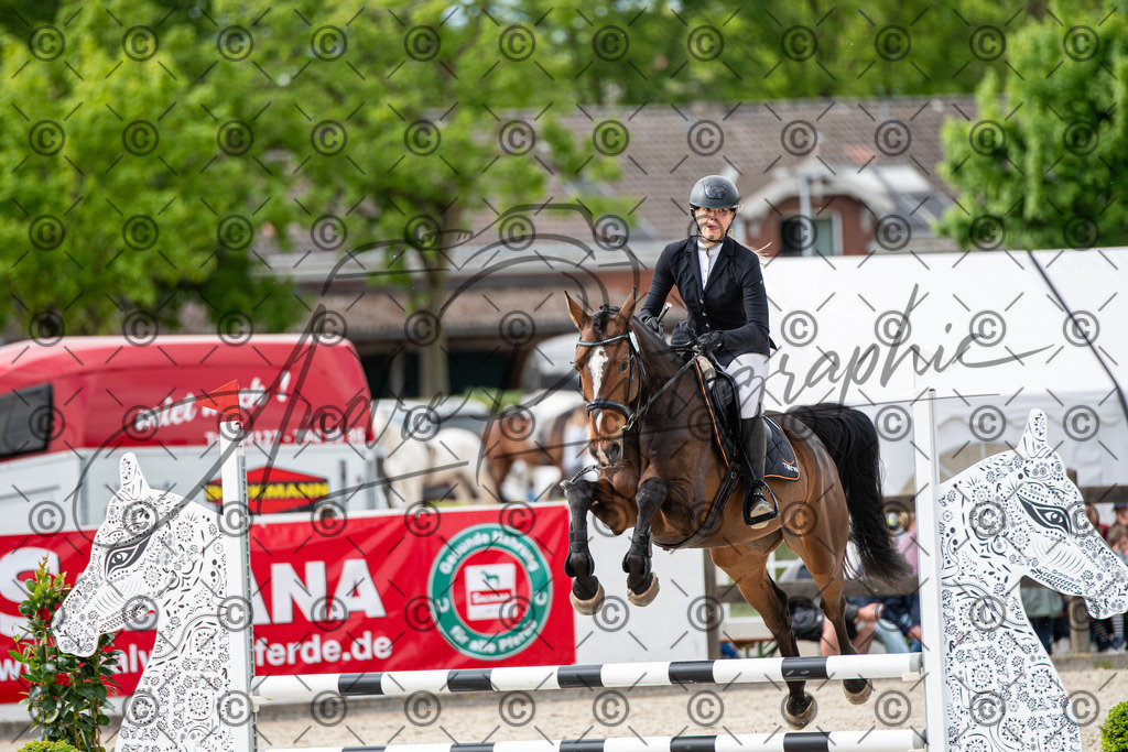 KPT_6553 | andre_photographic