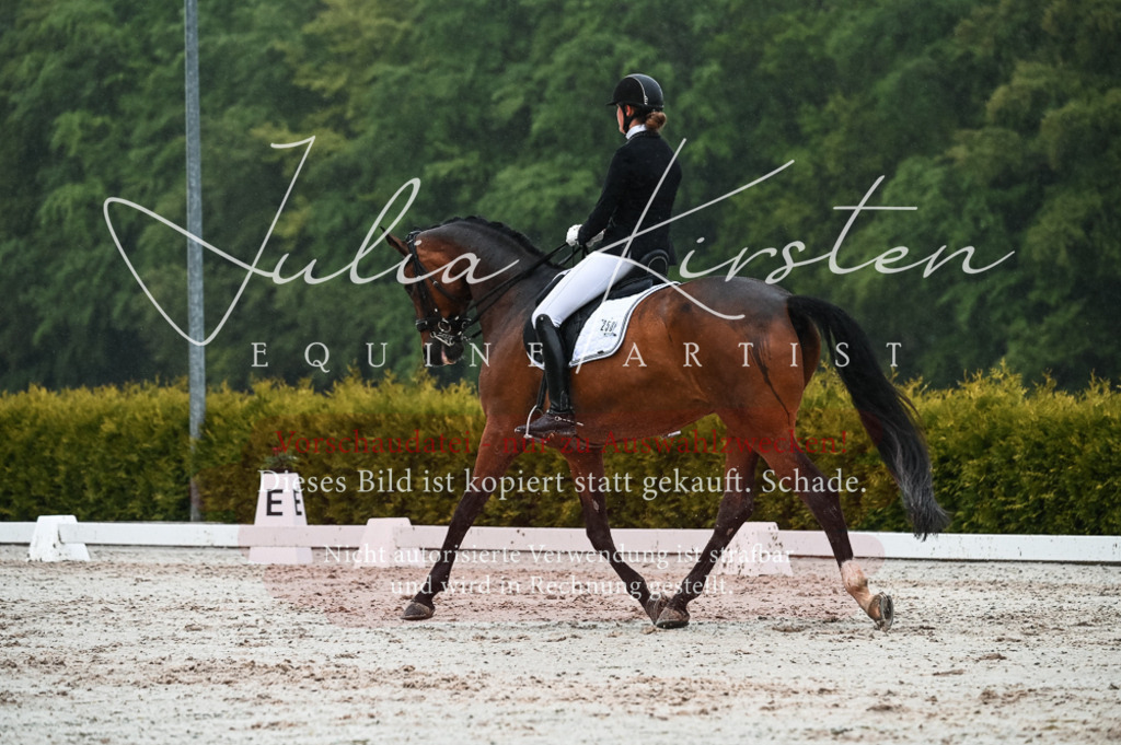 DSC_4568 | Pferde- und Turnierfotografie in Westsachsen. Pferdeportraits, Auftragszeichnungen und intuitive Kunst.