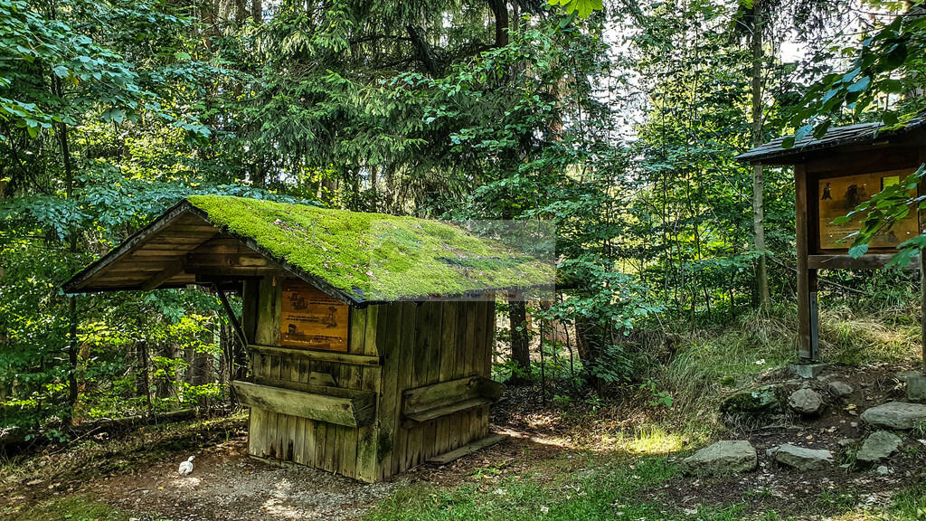 Höllental Sommer | Impressionen rund um Hochfranken - Frankenwald - Fichtelgebirge - Realisiert mit Pictrs.com