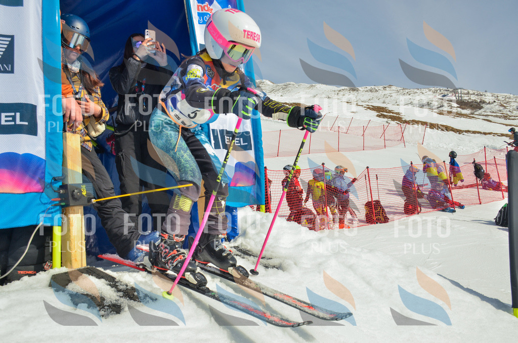 _ELE4431 | holidayphoto