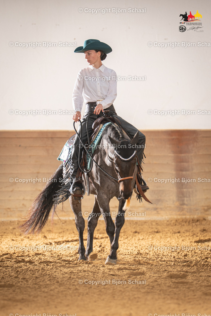 LMS07511 | BS-foto