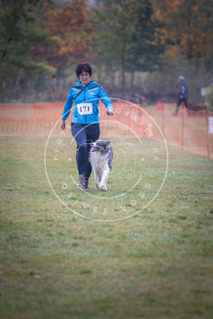 Pfotenfotografie_DV3A9141 | Hundefotografie, Tierfotograf, Pfotenfotografie, Fotoshooting Hund, Hunde Portrait, Hundesport, Hundeportraits, Heideshooting, Hunde, Sportfotograf, Hundefotograf, Turnierhundsport, THS,  - Realisiert mit Pictrs.com