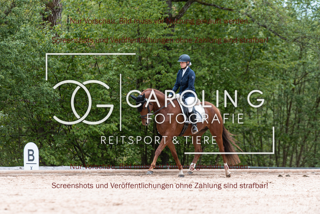 DSC_6814 | Turnierfotografin Carolin Gieschke,Reitsport Turnierfotografie Carolin G Fotografie | Turnierfotos aus Kirchheim/Teck, Esslingen, Stuttgart und dem Bodenseekreis
