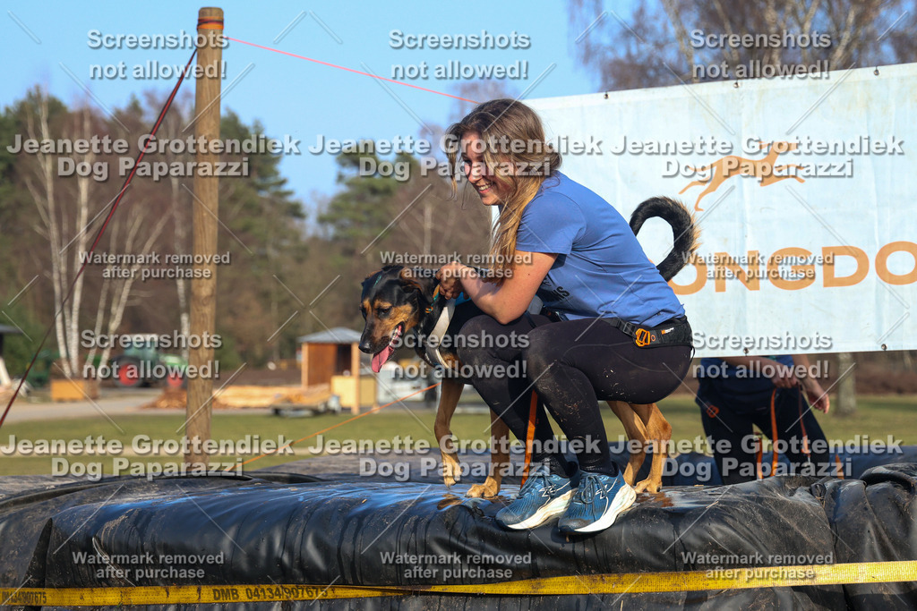 Dog Paparazzi - Strongdog North Mrz26-3616 | Dog Paparazzi Jeanette Grottendiek Fotografie & Videografie - Realisiert mit Pictrs.com