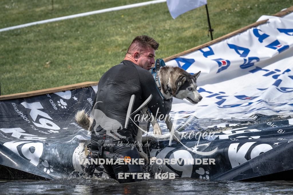 1200_ZZ94708 | kk-dogfotos