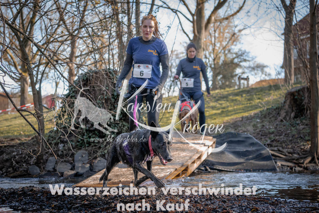 0813_ZZ90180 | kk-dogfotos
