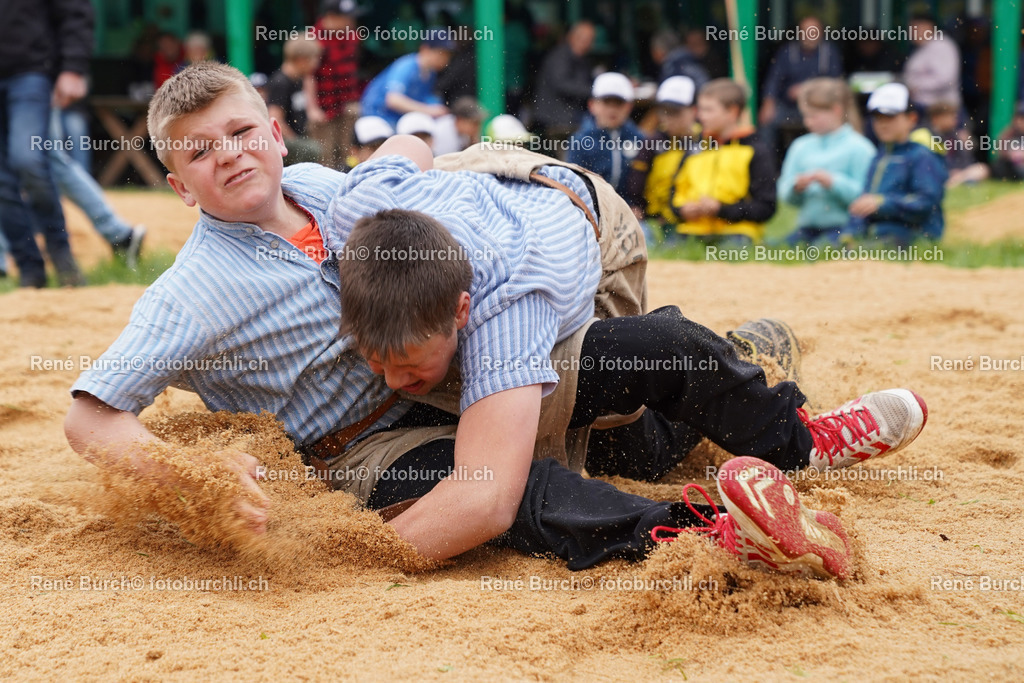 20220423-DSC03614 (3) | René Burch leidenschaftlicher Fotograf aus Kerns in Obwalden.  Hier finden sie Sport, Landschaft und Natur Fotografie.
 - Realisiert mit Pictrs.com