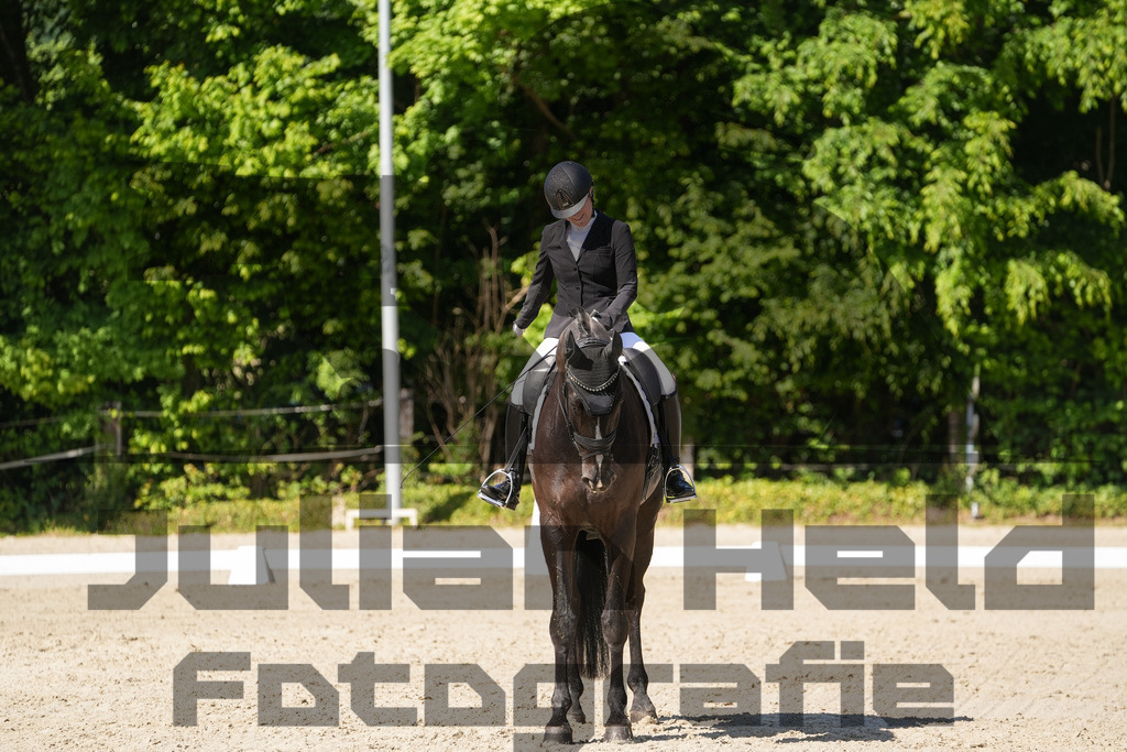 DSC00519 | Julian Held Fotografie - Realisiert mit Pictrs.com