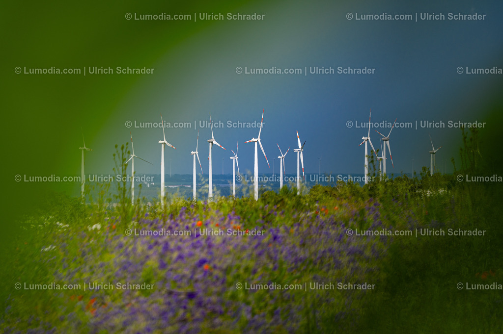 10049-13374 - Windpark | Stockfoto und Bilderpool mit Bildmaterial aus Deutschland, dem Harz, Halberstadt, Quedlinburg, Wernigerode und weltweit. Qualitativ hochwertige und professionelle Fotos anschauen und kaufen. - Realisiert mit Pictrs.com