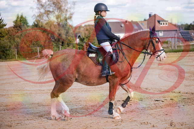 2026_10_03_Siefer-Hof_144333_Z81_17143791 | Professionelle Reitsport-, Turnier- und Eventfotografie von Robert Broda. Galerien mit ausgewählten und bearbeiteten Bildern direkt online ansehen und bestellen.