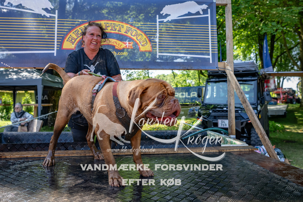 1334_ZZ91694 | kk-dogfotos